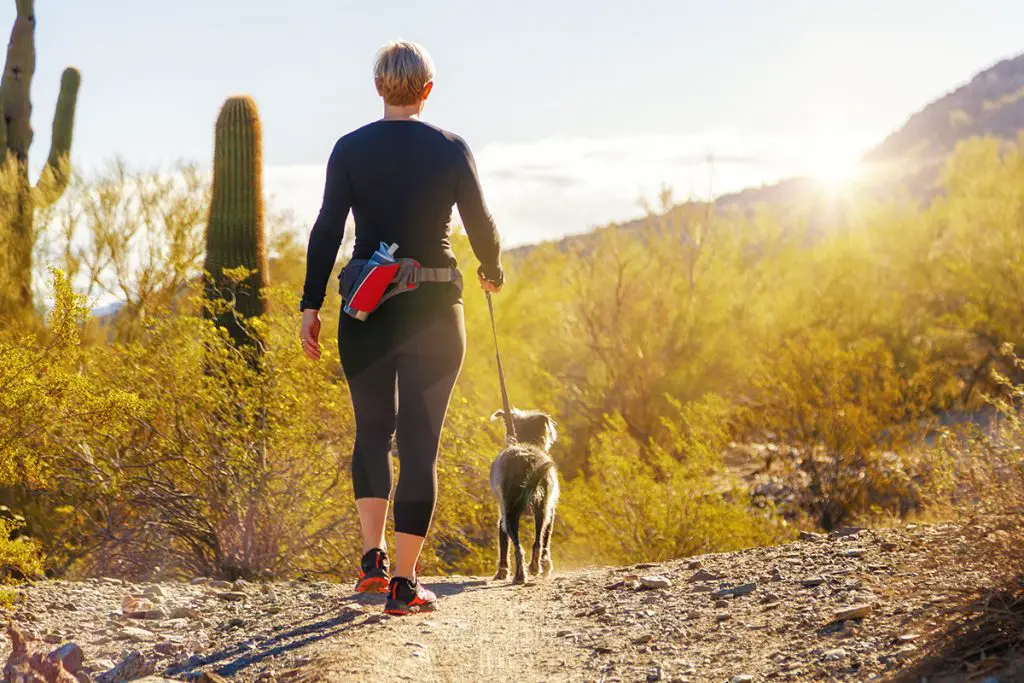 woman wearing leggings walks a dog on a hiking path
