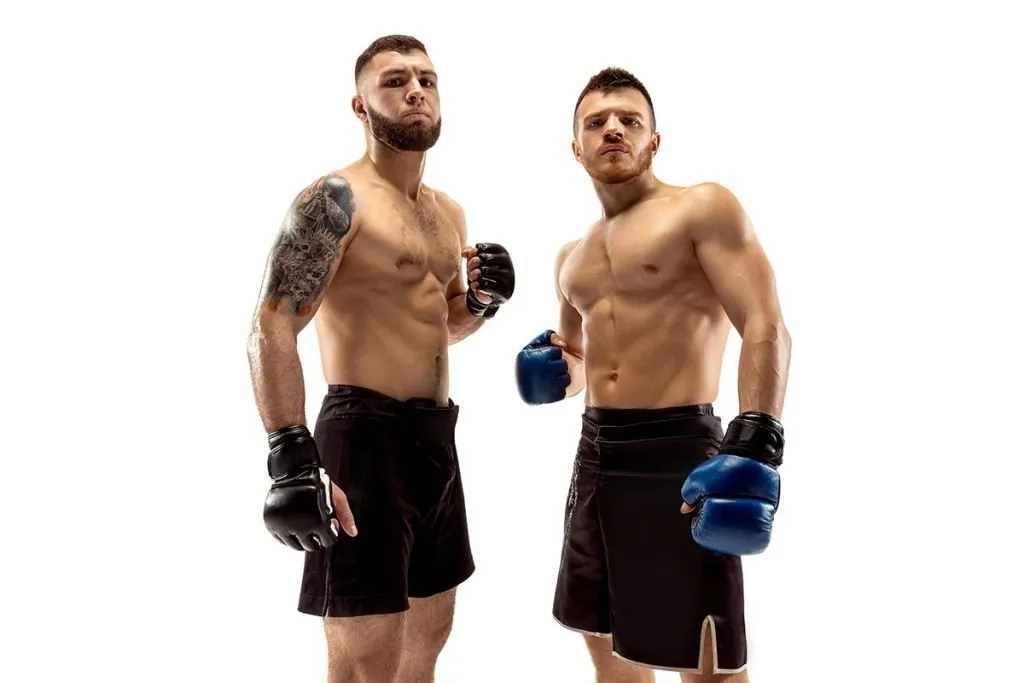 two professional boxers boxing