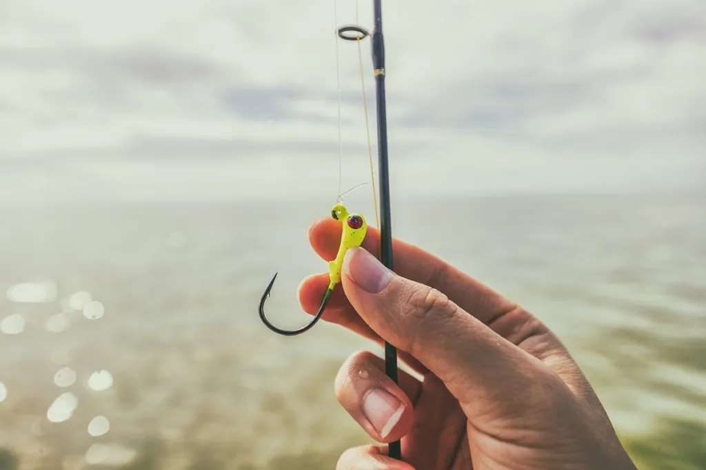 fishing hook 