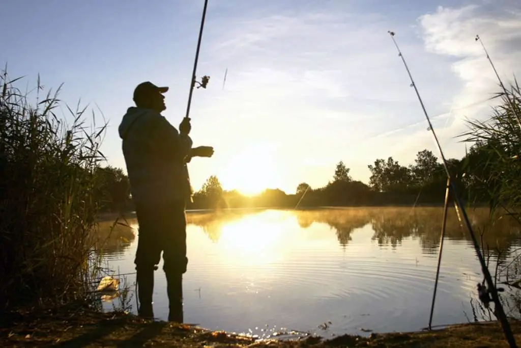 man in waders was fishing on the pond at sunset